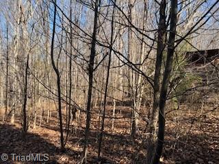 3633 Shacktown Road Yadkinville, NC 27055 - Photo 5 of 10 Gallery Image 5
