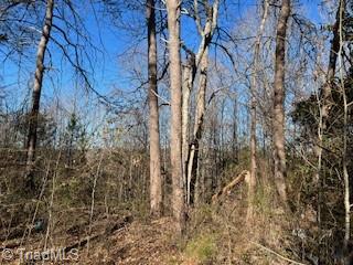 3633 Shacktown Road Yadkinville, NC 27055 - Photo 6 of 10 Gallery Image 6