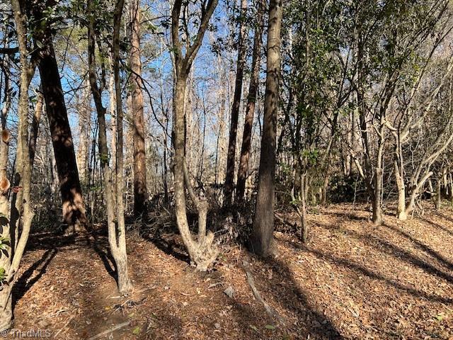 3633 Shacktown Road Yadkinville, NC 27055 - Photo 10 of 10 Gallery Image 10