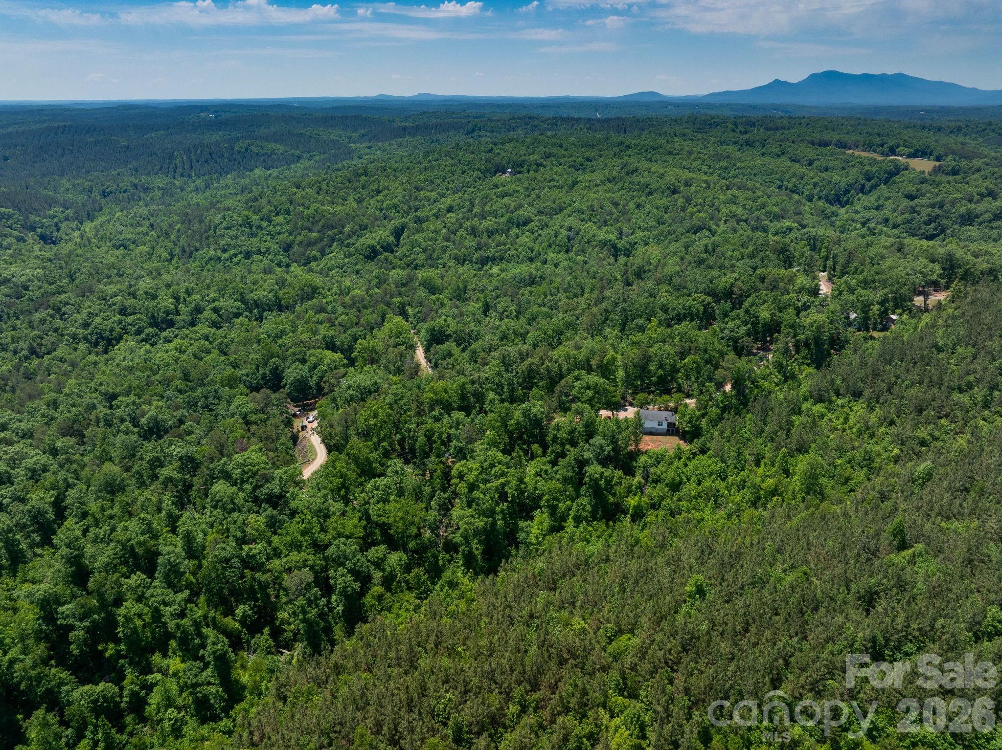 419 Travelers Rest Lane Rutherfordton, NC 28139 - Photo 31 of 35