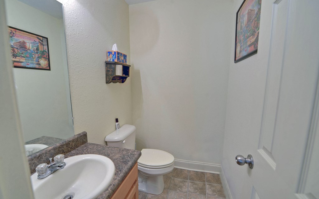 202 Dove Lane Morganton, GA 30560 - Photo 16 of 99 a bathroom with a toilet sink vanity and mirror