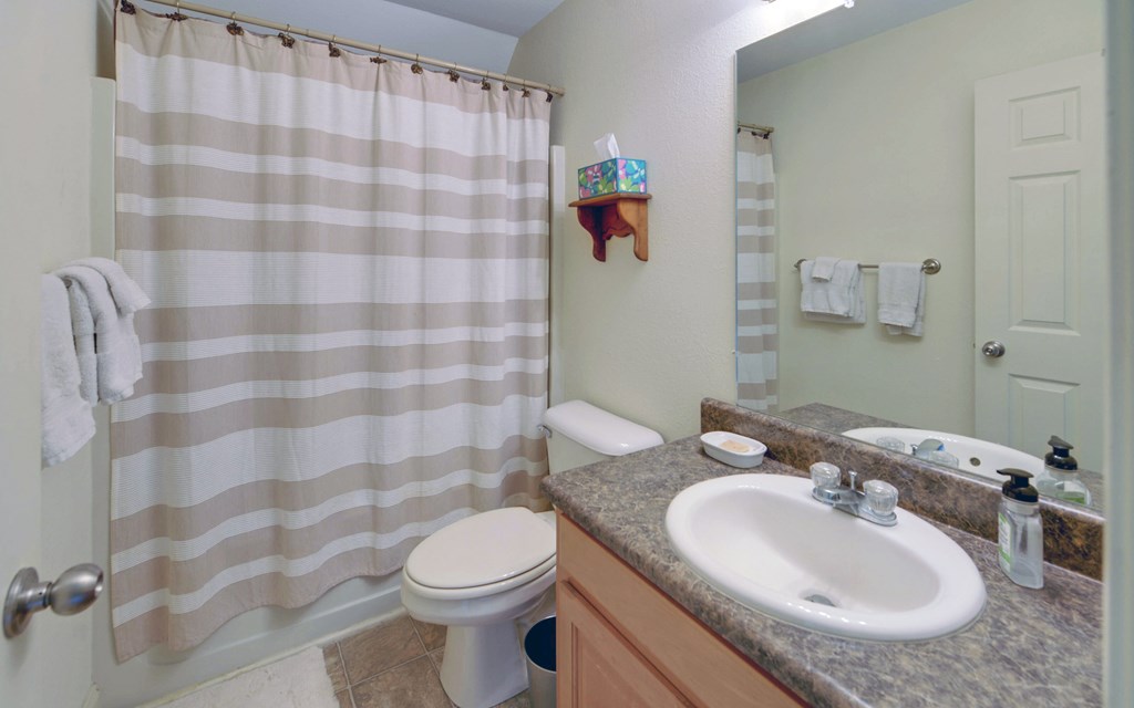 202 Dove Lane Morganton, GA 30560 - Photo 18 of 99 a bathroom with a sink toilet and shower