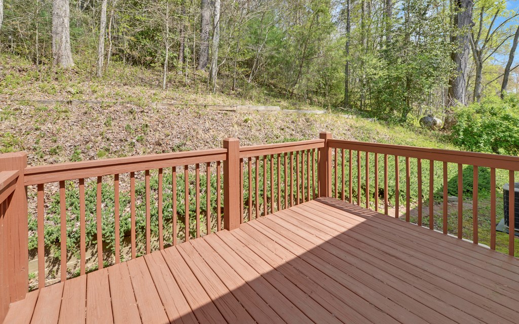 202 Dove Lane Morganton, GA 30560 - Photo 20 of 99