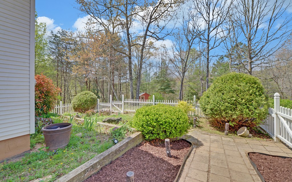 202 Dove Lane Morganton, GA 30560 - Photo 57 of 99 a backyard of a house with lots of green space and plants