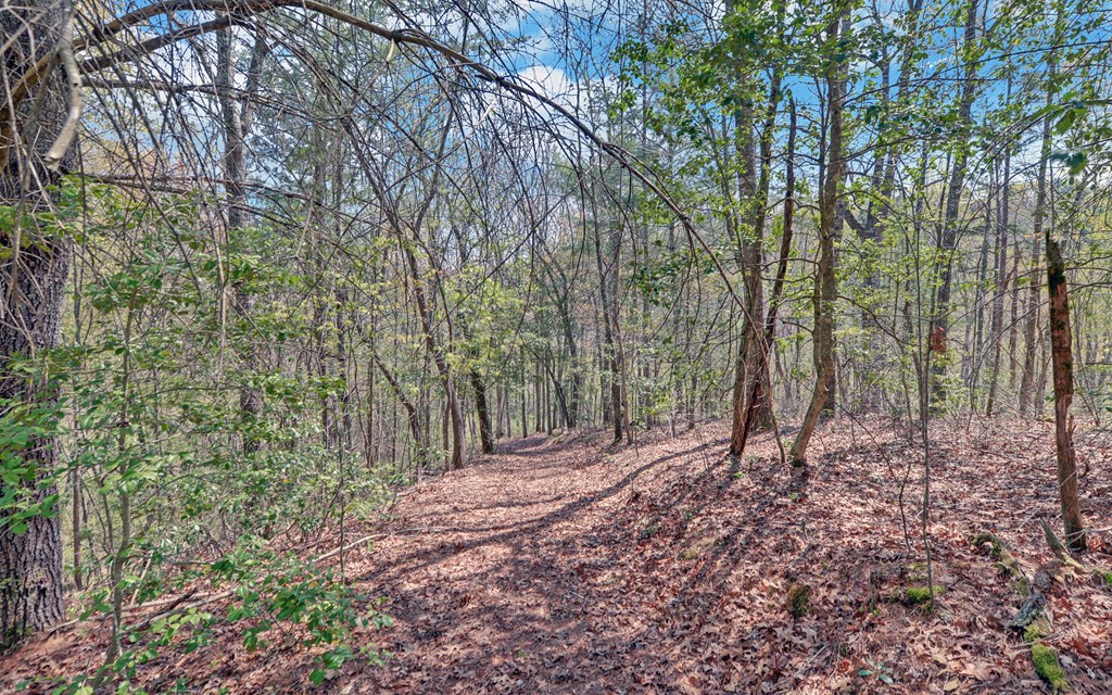 202 Dove Lane Morganton, GA 30560 - Photo 74 of 99