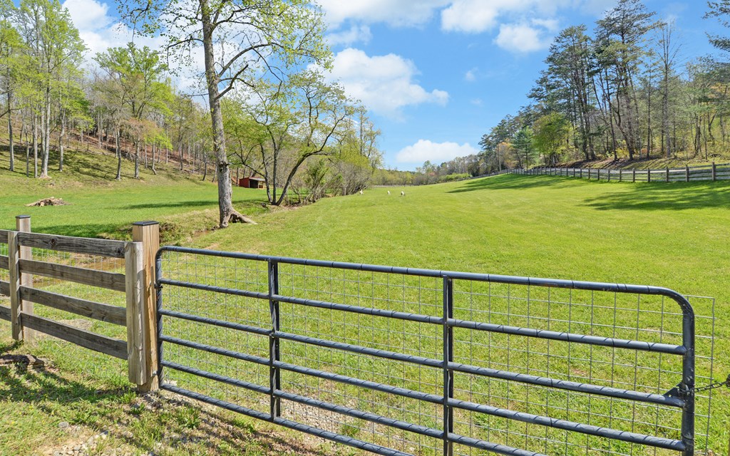 202 Dove Lane Morganton, GA 30560 - Photo 75 of 99