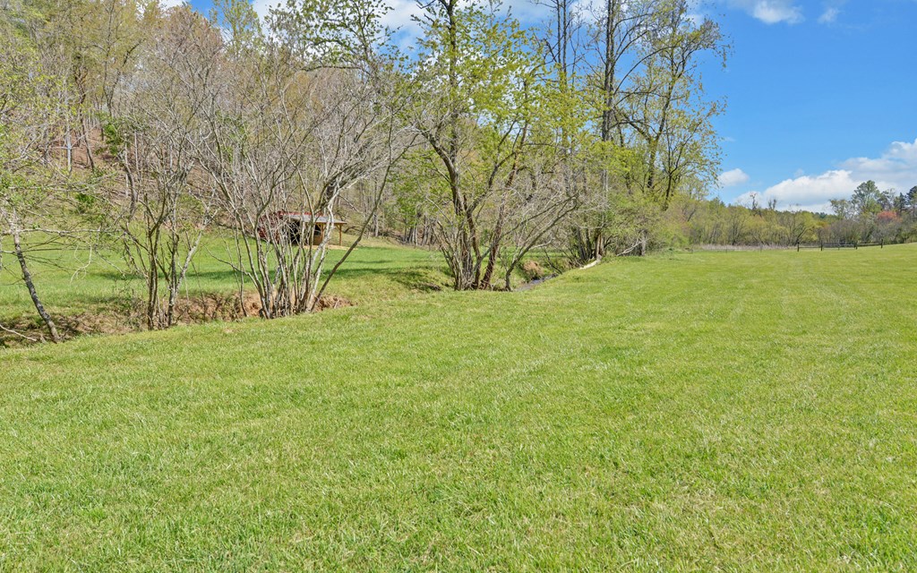 202 Dove Lane Morganton, GA 30560 - Photo 76 of 99 a view of yard with green space