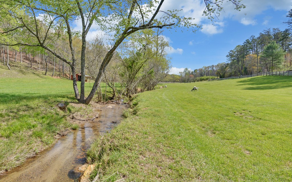 202 Dove Lane Morganton, GA 30560 - Photo 77 of 99 a view of an outdoor space with a lake view