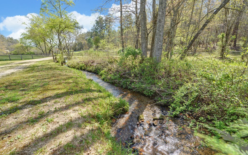 202 Dove Lane Morganton, GA 30560 - Photo 79 of 99