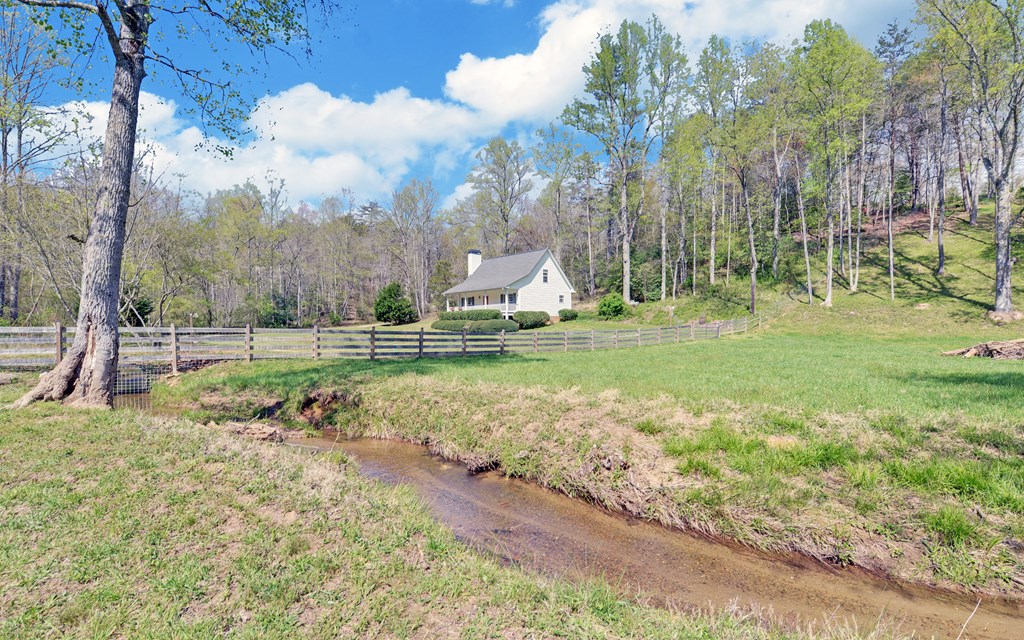 202 Dove Lane Morganton, GA 30560 - Photo 81 of 99
