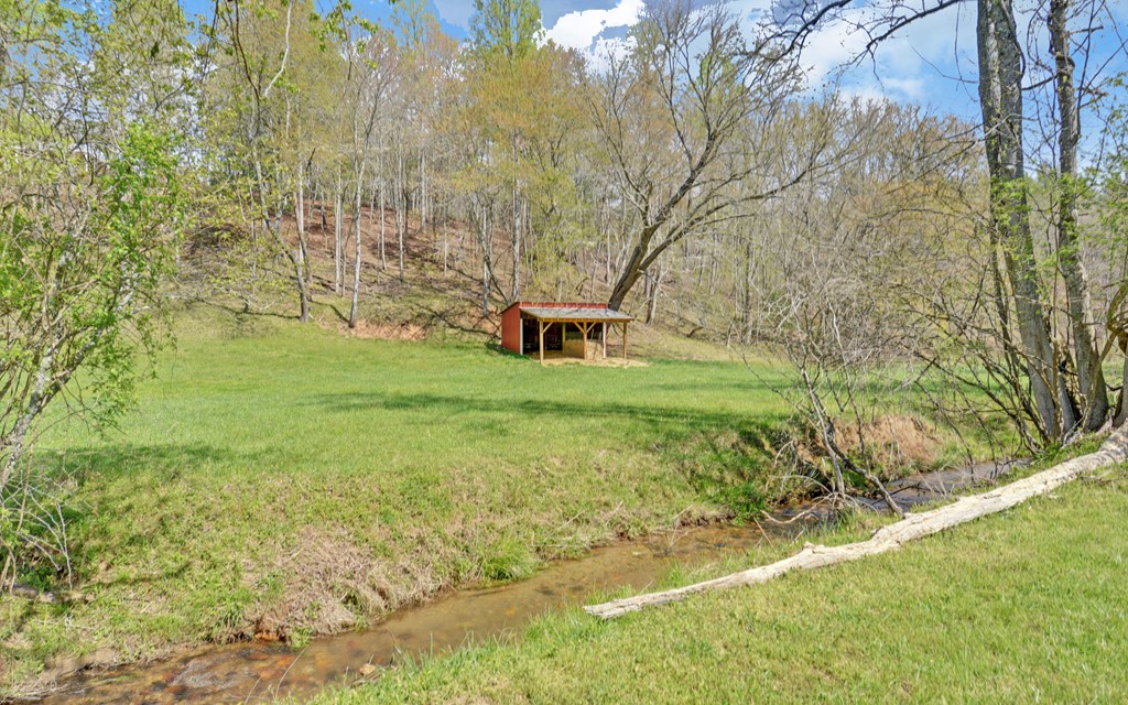202 Dove Lane Morganton, GA 30560 - Photo 82 of 99 a backyard of a building with large trees and wooden fence
