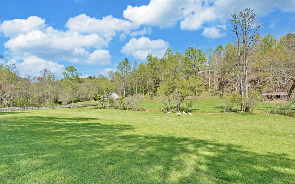 202 Dove Lane Morganton, GA 30560 - Photo 83 of 99 a view of a big yard with lots of green space