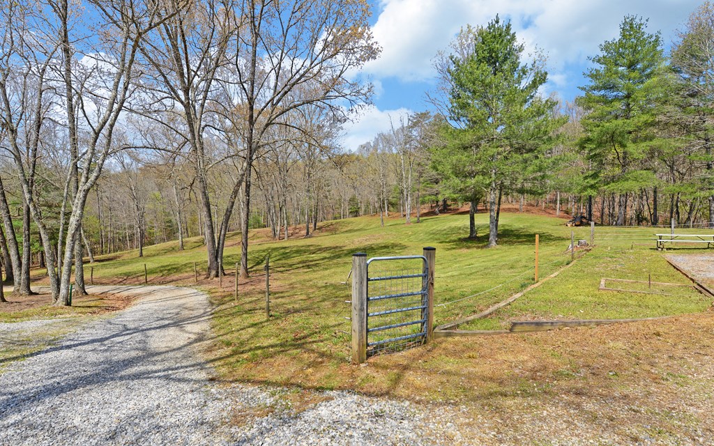 202 Dove Lane Morganton, GA 30560 - Photo 85 of 99