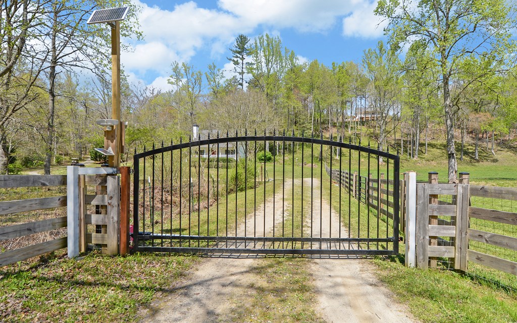 202 Dove Lane Morganton, GA 30560 - Photo 86 of 99 a view of a garden with an outdoor space