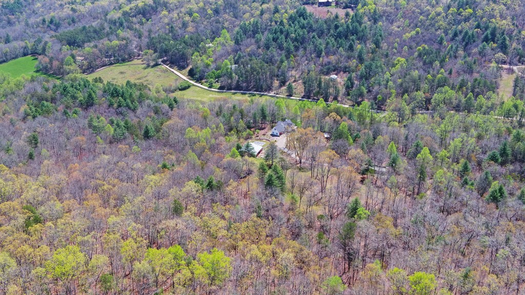 202 Dove Lane Morganton, GA 30560 - Photo 87 of 99