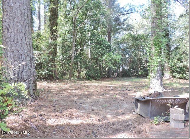 131 Ripley Road Northwest Wilson, NC 27893 - Photo 50 of 53 49 Backyard