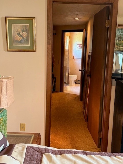 5044 Butler Road Canandaigua Town, NY 14424 - Photo 29 of 45 Walk through closet from second bedroom to 2nd bat