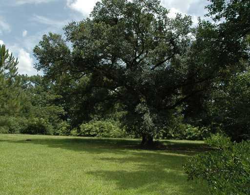 77007 Lee Road Covington, LA 70435 - Photo 19 of 21 Gallery Image 19