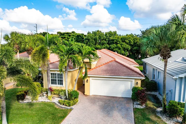 a view of a yard with plants and large trees