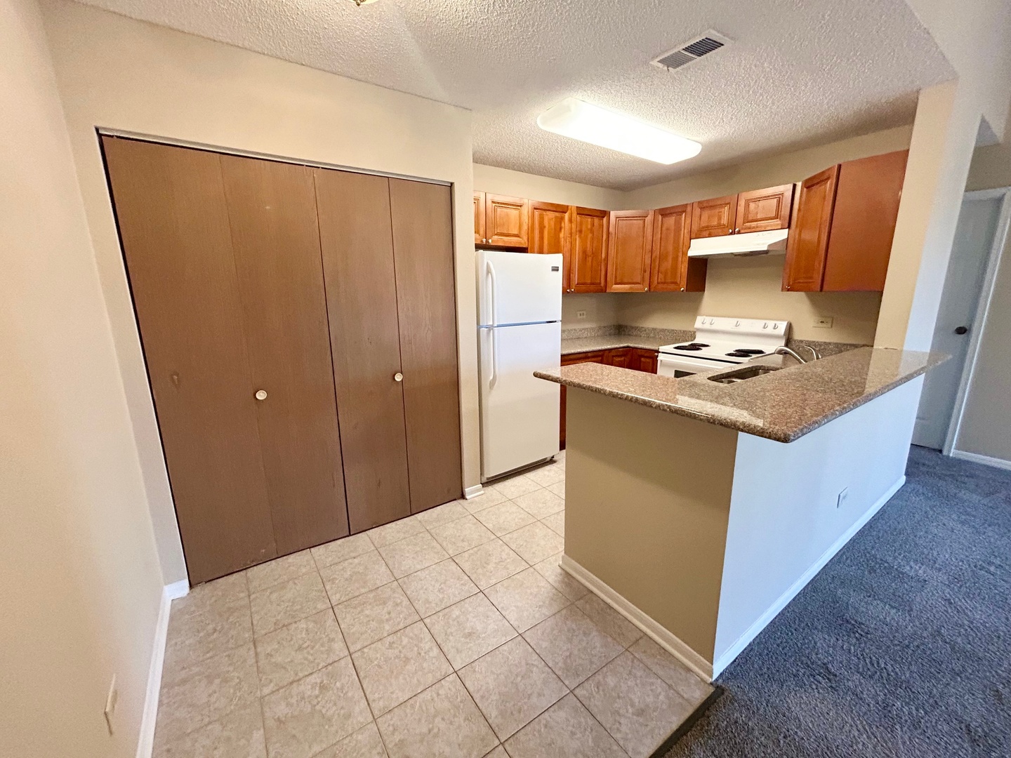 2068 North Rand Road, Unit 210 Palatine, IL 60074 - Photo 2 of 11 Gallery Image 2