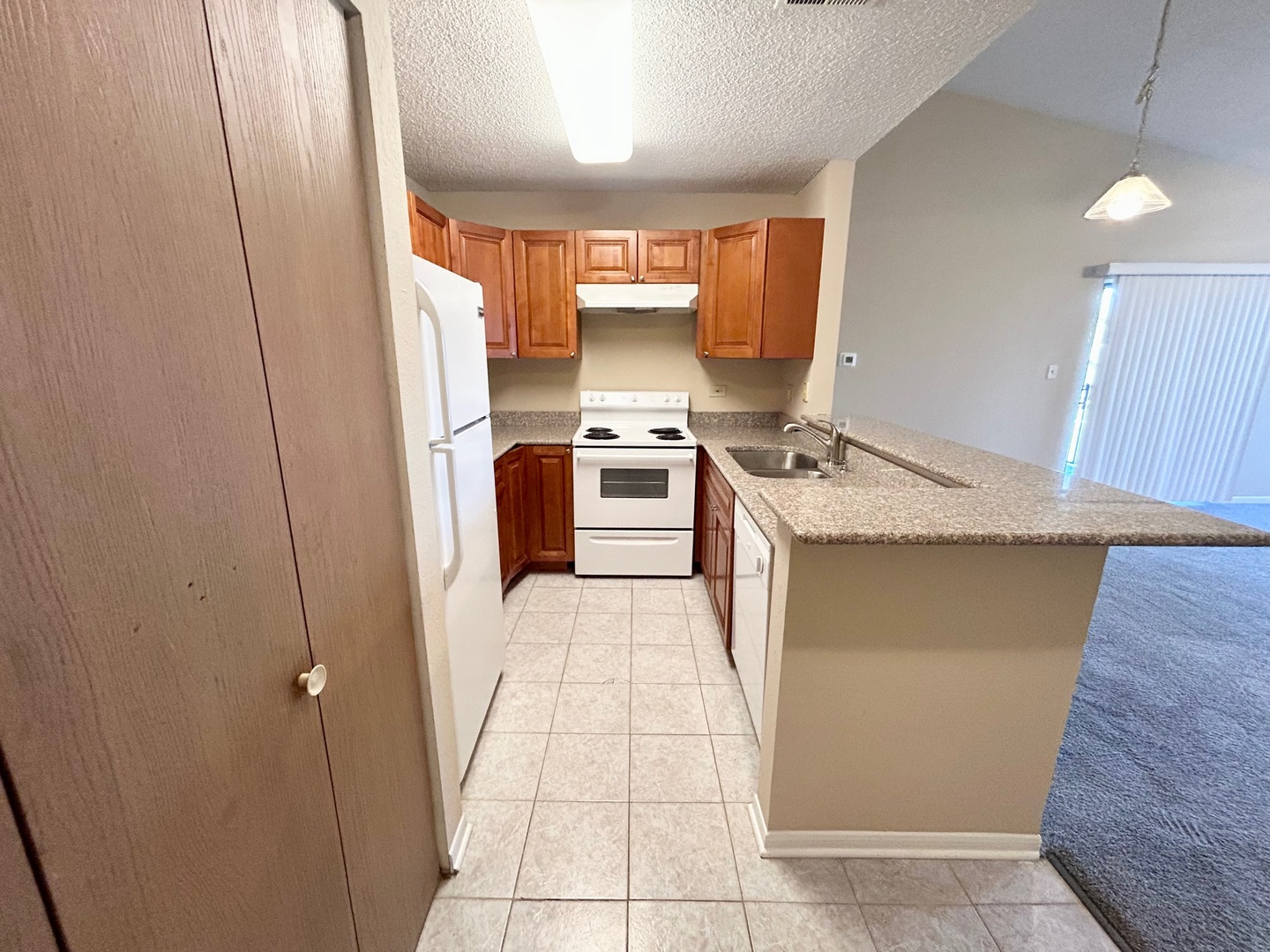 2068 North Rand Road, Unit 210 Palatine, IL 60074 - Photo 3 of 11 Gallery Image 3