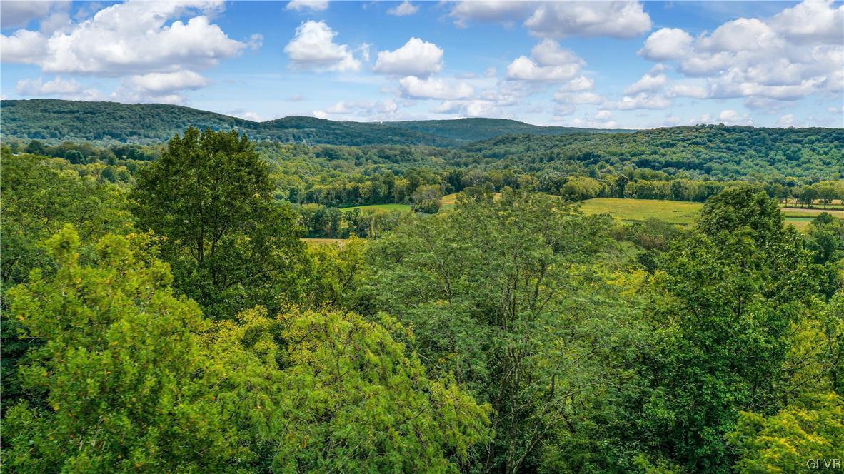 935 Spring Hill Road Riegelsville, PA 18077 - Photo 43 of 50