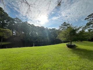 8272 Palmetto Road Edisto Island, SC 29438 - Photo 56 of 59 IMG_7159