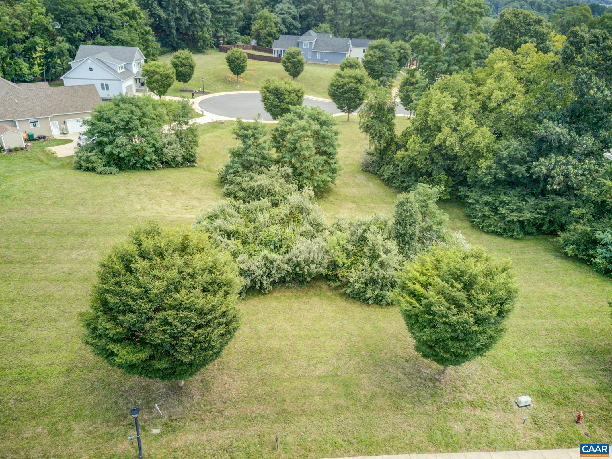 2509 Belvue Road Waynesboro, VA 22980 - Photo 14 of 17 a view of a garden with large trees