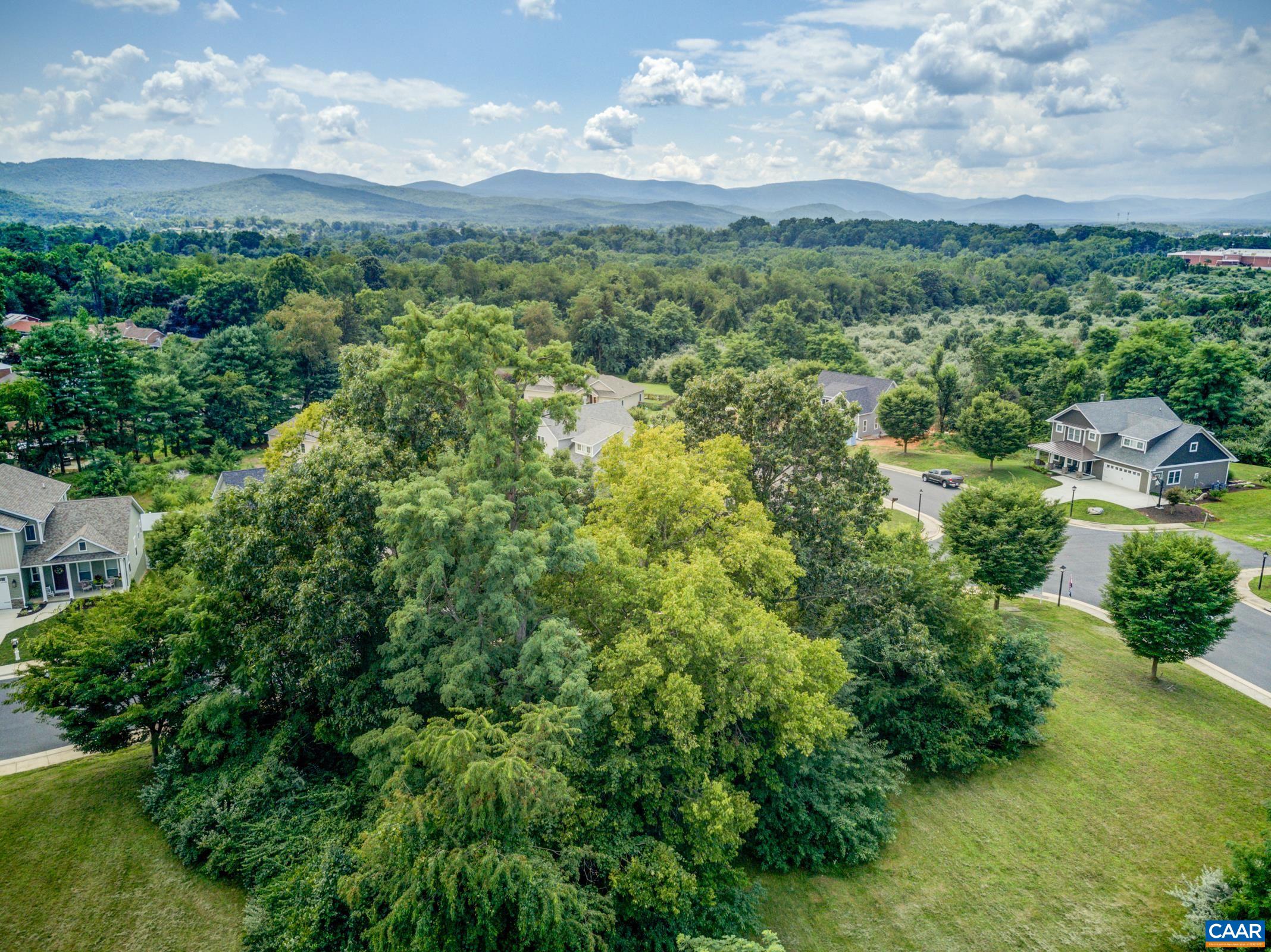 2509 Belvue Road Waynesboro, VA 22980 - Photo 17 of 17 a view of a green field with lots of bushes