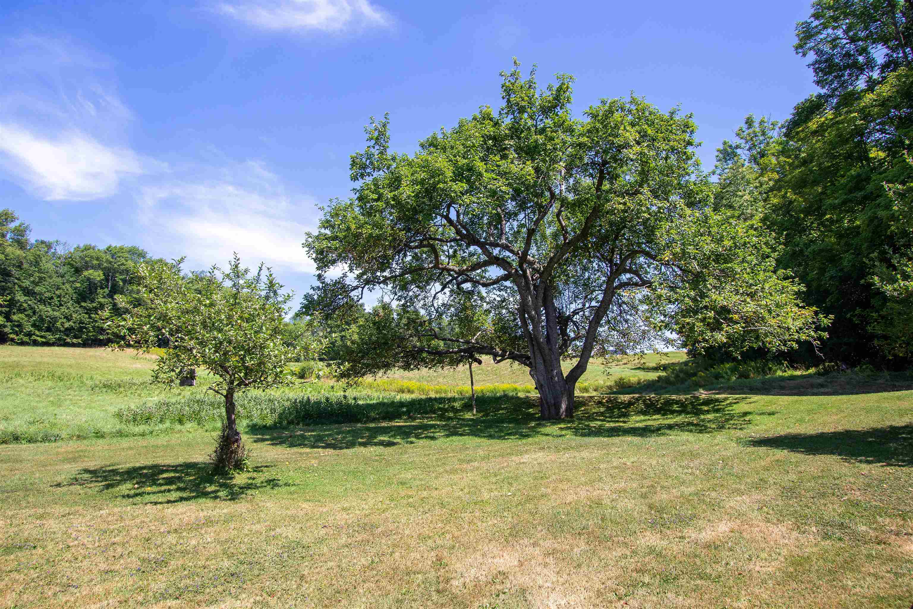 1247 High Ridge Road Waterford, VT 05819 - Photo 52 of 57