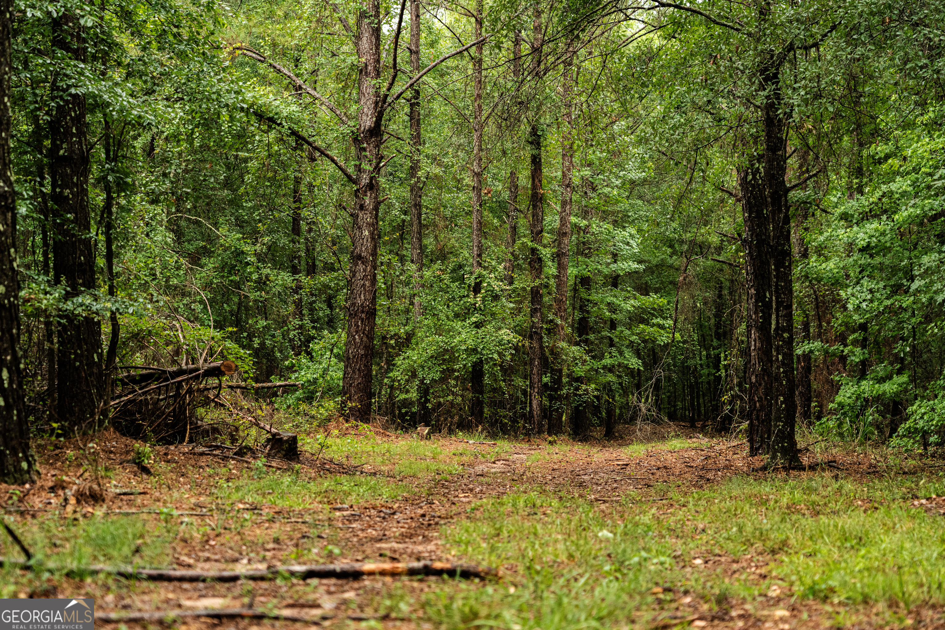 990 Highway 49 Americus, GA 31719 - Photo 69 of 121