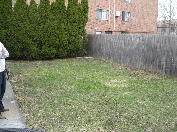 22 Murdock Street Somerville, MA 02145 - Photo 8 of 11