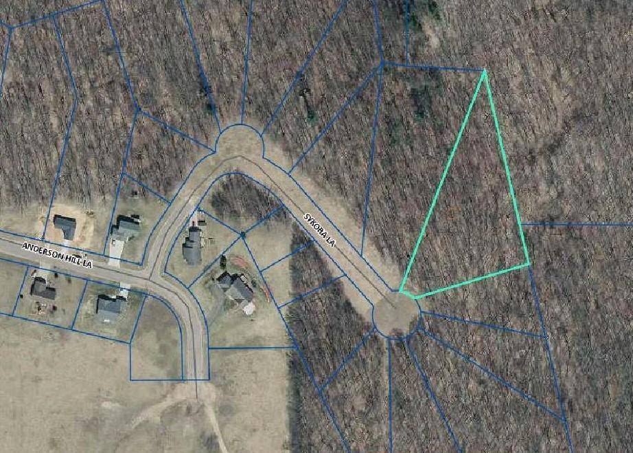 1455 Sykora Lane Boyceville, WI 54725 - Photo 2 of 12