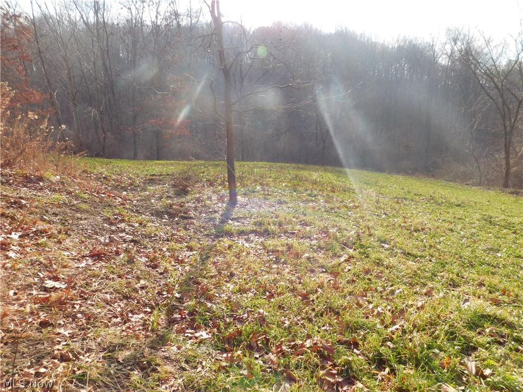 75733 Science Hill Road Newcomerstown, OH 43832 - Photo 19 of 22 Gallery Image 19