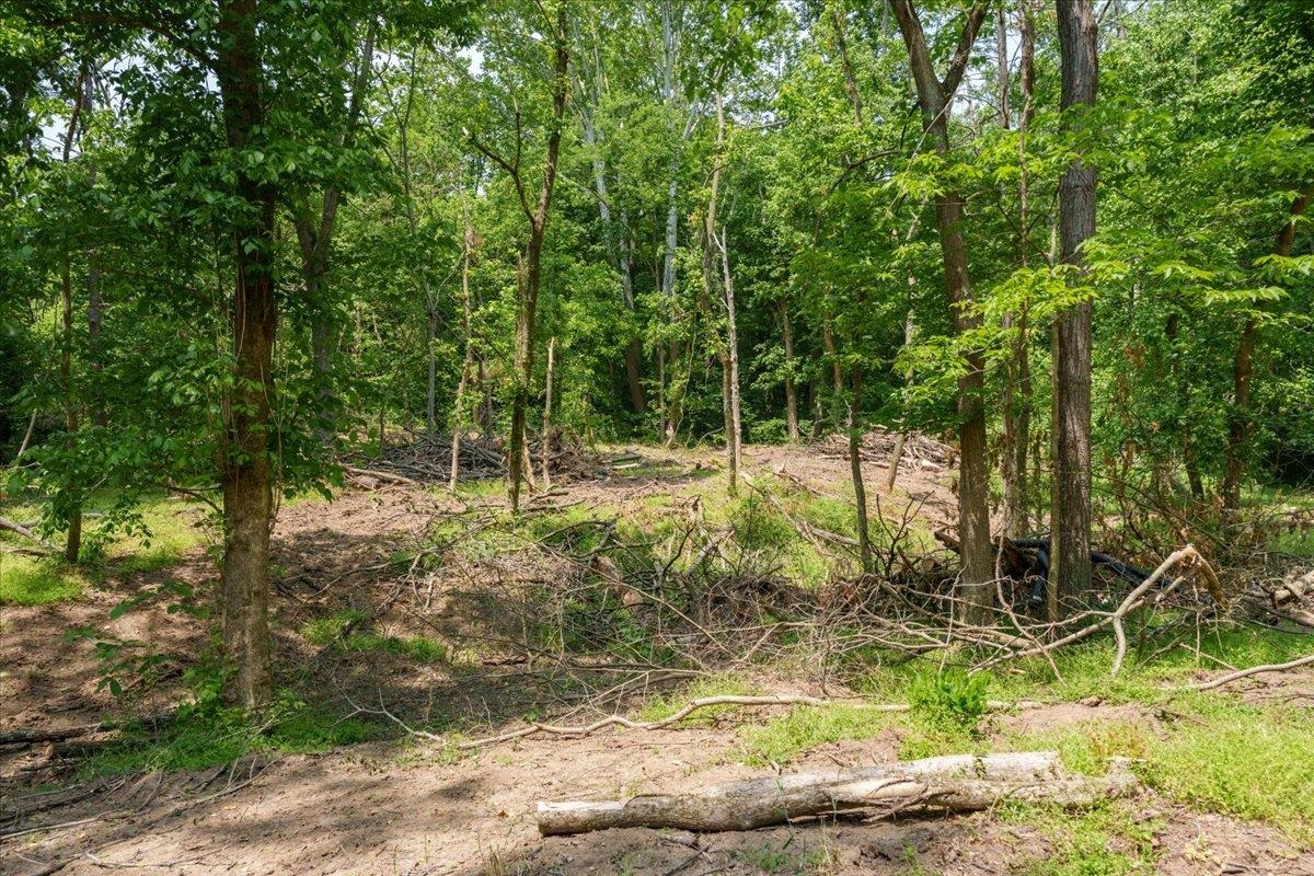 Lot P Mill Run Road Shenandoah, VA 22849 - Photo 11 of 21 Gallery Image 11