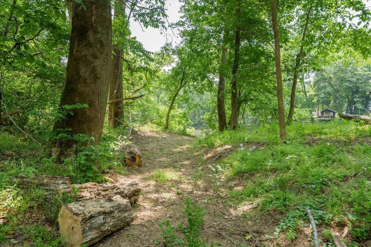 Lot P Mill Run Road Shenandoah, VA 22849 - Photo 12 of 21 Gallery Image 12