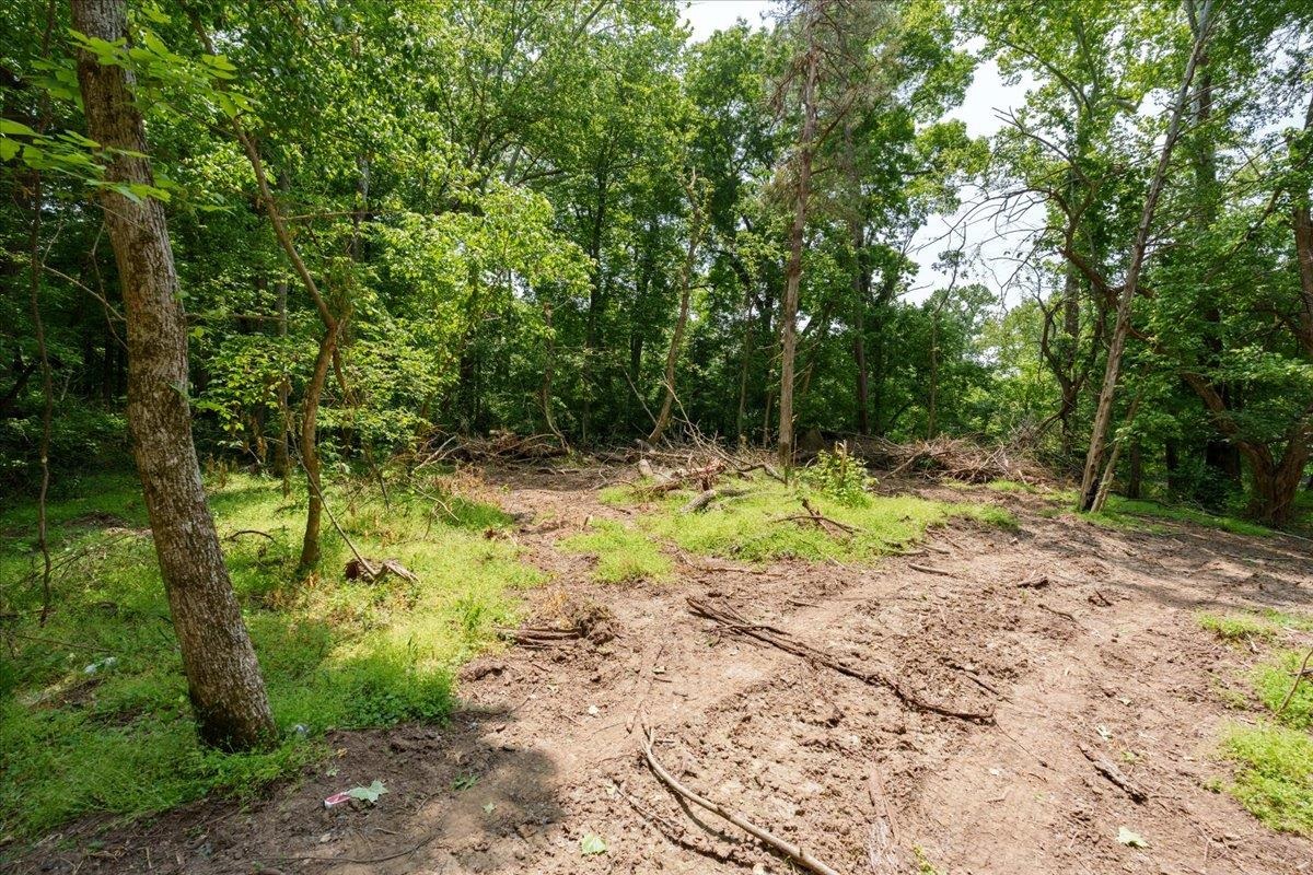 Lot P Mill Run Road Shenandoah, VA 22849 - Photo 13 of 21 Gallery Image 13