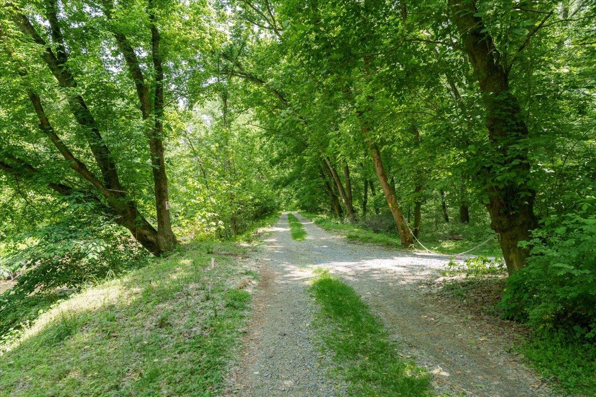 Lot P Mill Run Road Shenandoah, VA 22849 - Photo 14 of 21 Gallery Image 14