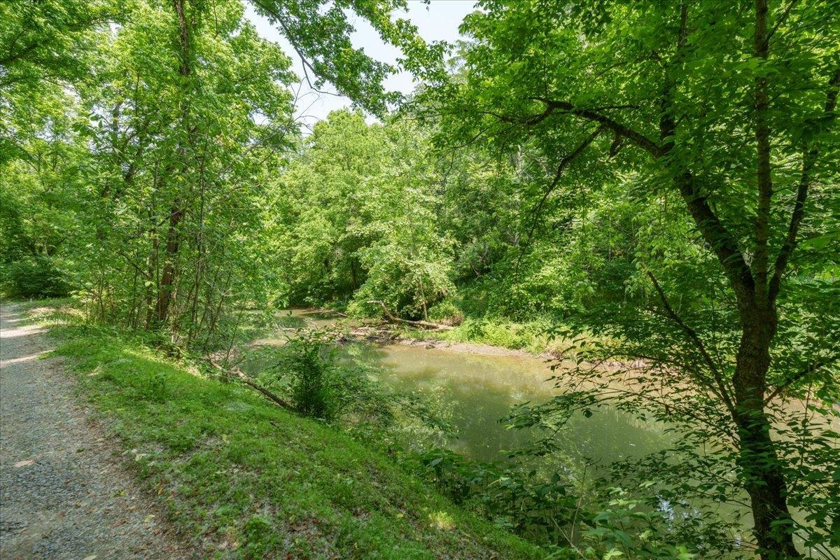 Lot P Mill Run Road Shenandoah, VA 22849 - Photo 16 of 21 Gallery Image 16