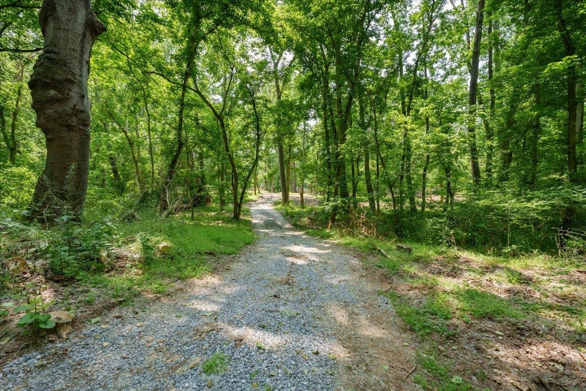 Lot P Mill Run Road Shenandoah, VA 22849 - Photo 20 of 21 Gallery Image 20