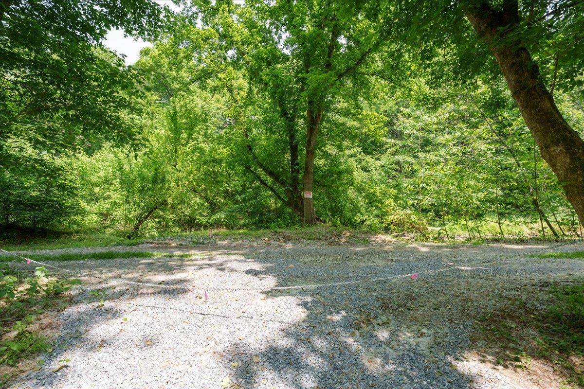 Lot P Mill Run Road Shenandoah, VA 22849 - Photo 21 of 21 Gallery Image 21