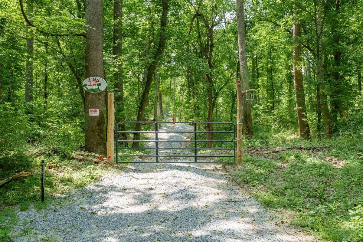 Lot P Mill Run Road Shenandoah, VA 22849 - Photo 3 of 21 Gallery Image 3