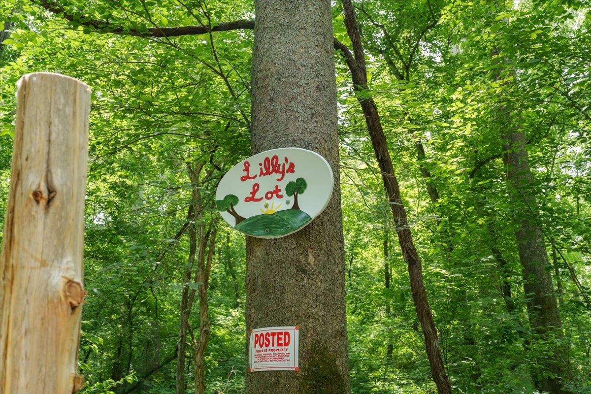 Lot P Mill Run Road Shenandoah, VA 22849 - Photo 4 of 21 Gallery Image 4