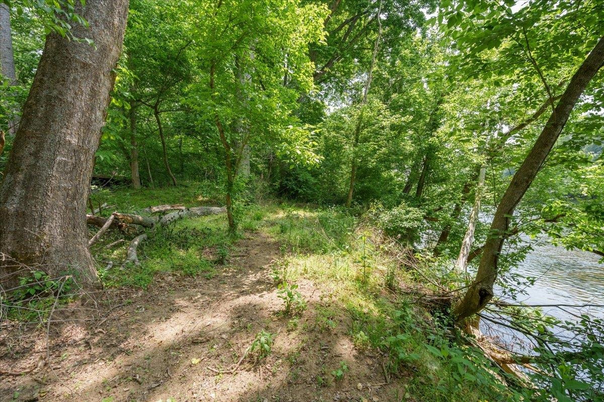 Lot P Mill Run Road Shenandoah, VA 22849 - Photo 5 of 21 Gallery Image 5