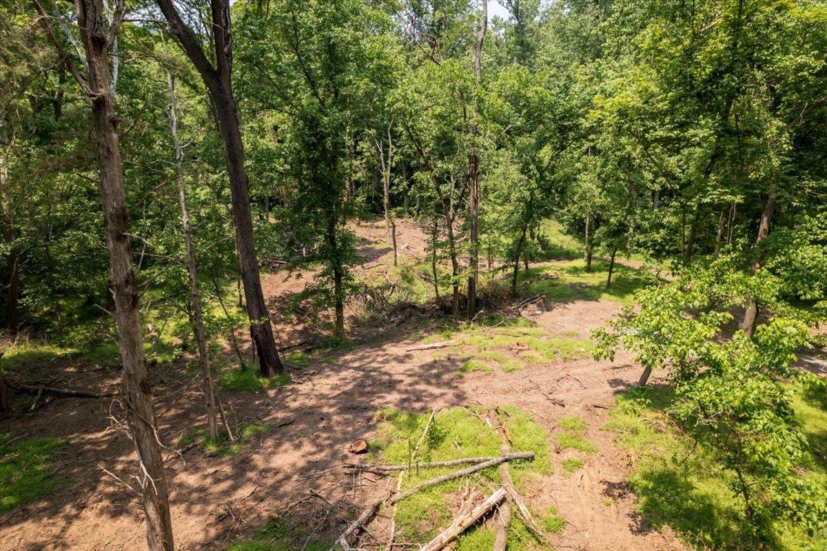 Lot P Mill Run Road Shenandoah, VA 22849 - Photo 9 of 21 Gallery Image 9