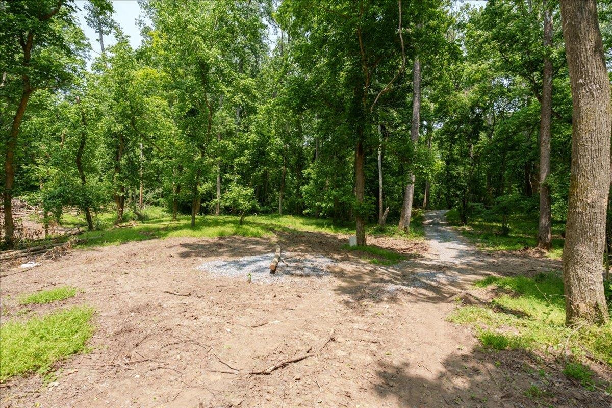 Lot P Mill Run Road Shenandoah, VA 22849 - Photo 10 of 21 Gallery Image 10