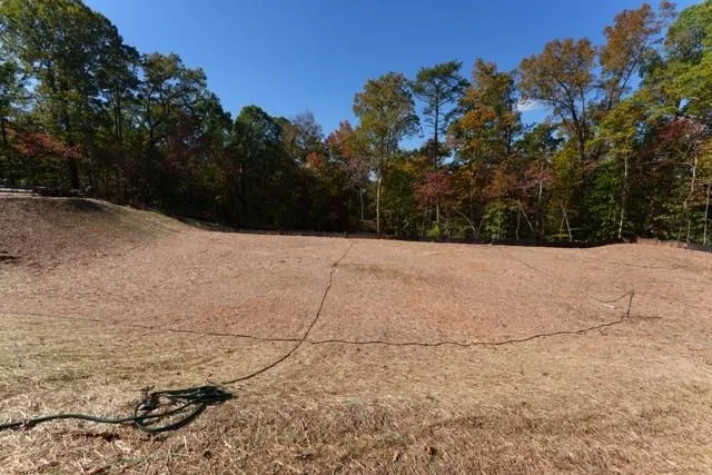 a view of a mountain