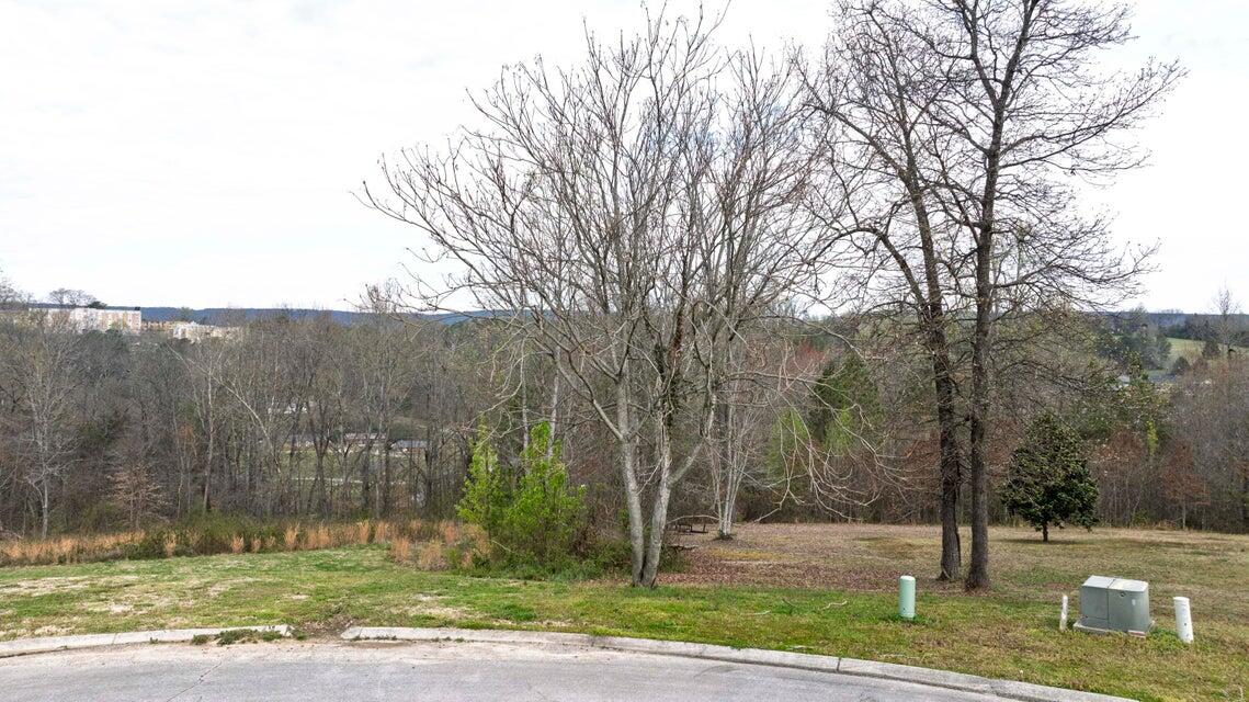 460 Arbor Pointe Trail Dayton, TN 37321 - Photo 10 of 16 10