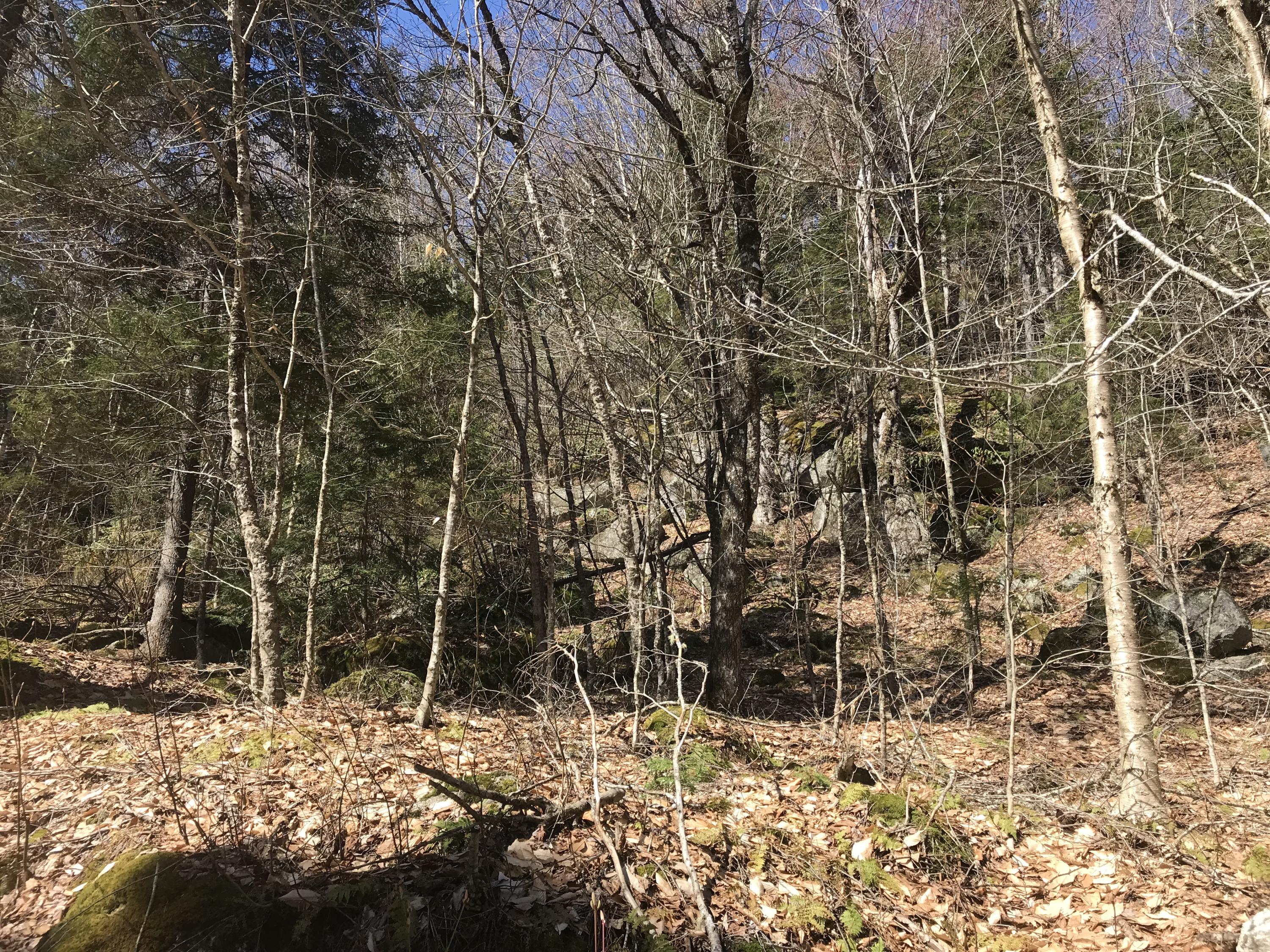 0 Fitts Mountain Road Dedham, ME 04429 - Photo 46 of 83 tp3WK4AxQ3qYa7DO8TY8Rg