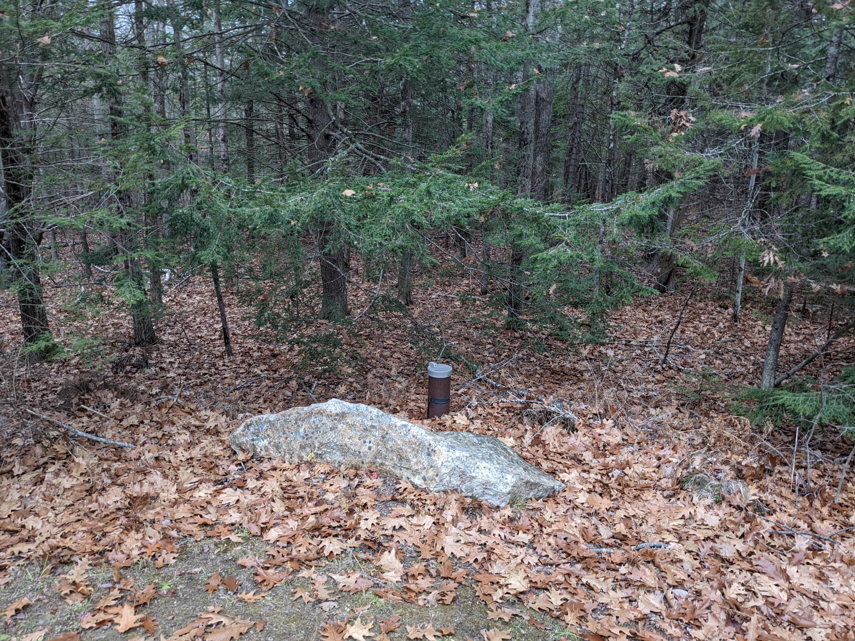 1522 Middle Road Woolwich, ME 04579 - Photo 10 of 39 PXL_20201111_201445620